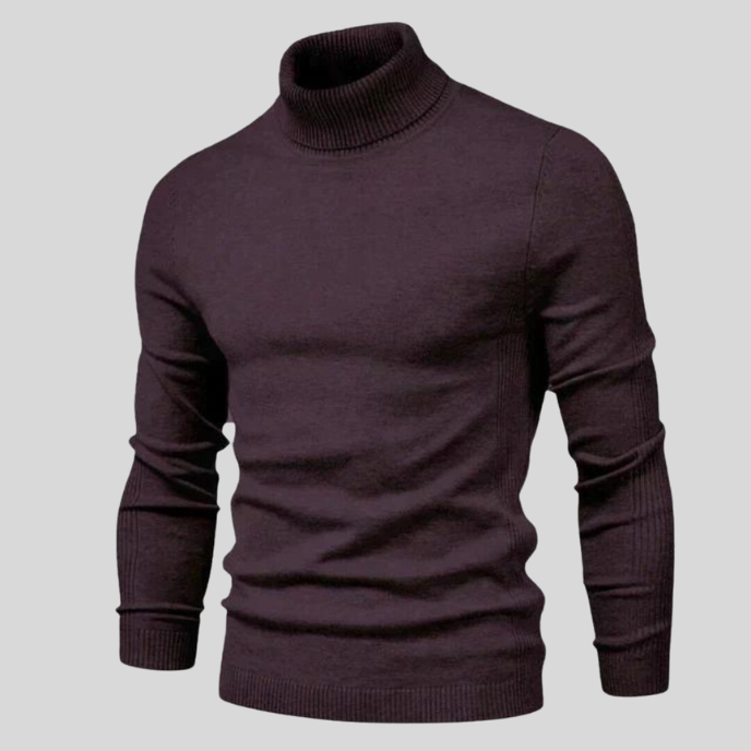 Ben Stylish Turtleneck Sweater